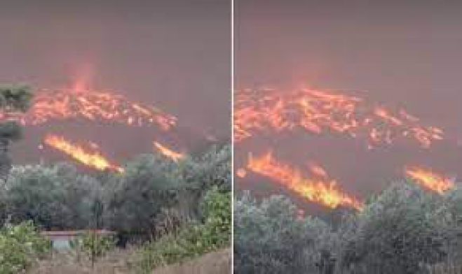 &Beta;ί&nu;&tau;&epsilon;&omicron; - &nu;&tau;&omicron;&kappa;&omicron;&upsilon;&mu;έ&nu;&tau;&omicron; &mu;&epsilon; &tau;&omicron;&nu; &pi;&upsilon;&rho;&omicron;&sigma;&tau;&rho;ό&beta;&iota;&lambda;&omicron; &sigma;&tau;&eta; &Rho;ό&delta;&omicron;