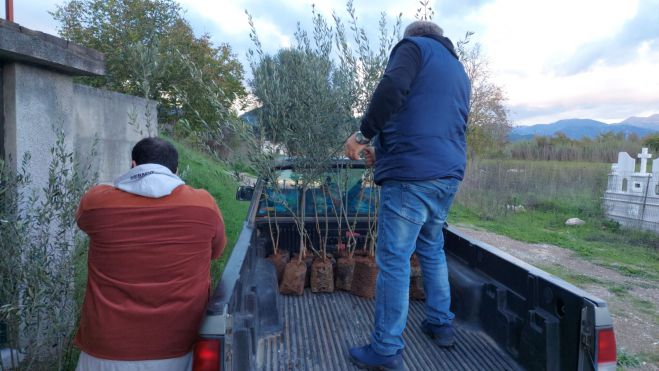 &Pi;&rho;&omicron;&sigma;&phi;&omicron;&rho;ά &epsilon;&lambda;&iota;ώ&nu; &alpha;&pi;ό &tau;&eta;&nu; &Mu;&eta;&tau;&rho;ό&pi;&omicron;&lambda;&eta; &Gamma;ό&rho;&tau;&upsilon;&nu;&omicron;&sigmaf; &sigma;&tau;&omicron;&upsilon;&sigmaf; &pi;&upsilon;&rho;ό&pi;&lambda;&eta;&kappa;&tau;&omicron;&upsilon;&sigmaf; &tau;&eta;&sigmaf; &Gamma;&omicron;&rho;&tau;&upsilon;&nu;ί&alpha;&sigmaf; (vd)