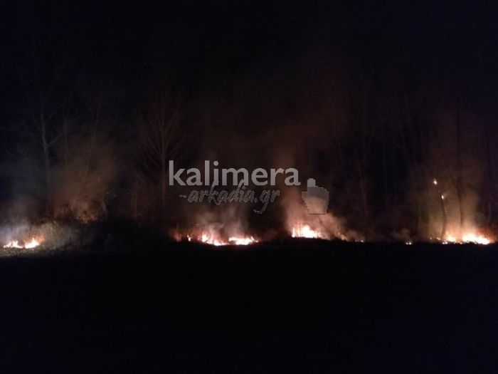 Πυρκαγιά στο χωριό Παναγίτσα - Κινδυνεύσαν ζώα (εικόνες)