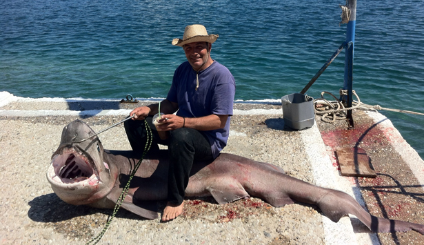 &Delta;&upsilon;&omicron; "&delta;&rho;&omicron;&sigma;ί&tau;&epsilon;&sigmaf;" &pi;ά&nu;&omega; &alpha;&pi;ό 150 &kappa;&iota;&lambda;ά &sigma;&tau;&alpha; "&delta;ί&chi;&tau;&upsilon;&alpha;" &psi;&alpha;&rho;ά &alpha;&pi;ό &tau;&omicron;&nu; &Tau;&upsilon;&rho;ό!