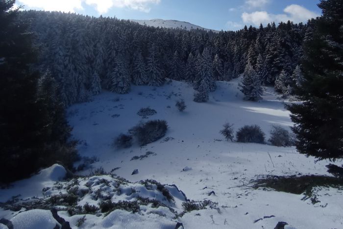 &Sigma;&tau;&omicron;&upsilon;&sigmaf; -6.6 &eta; &theta;&epsilon;&rho;&mu;&omicron;&kappa;&rho;&alpha;&sigma;ί&alpha; &sigma;&tau;&eta;&nu; &pi;&alpha;&gamma;&omega;&mu;έ&nu;&eta; &Alpha;&rho;&kappa;&alpha;&delta;ί&alpha;!