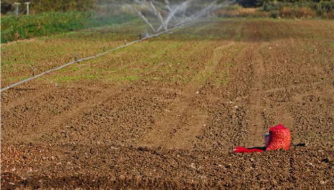 Επαναληπτικός διαγωνισμός για καλλιεργήσιμες εκτάσεις στον κάμπο της Κανδήλας