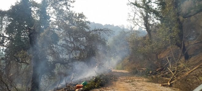 Άλλαξε η φορά του αέρα - Αναζωπυρώσεις στη Γορτυνία