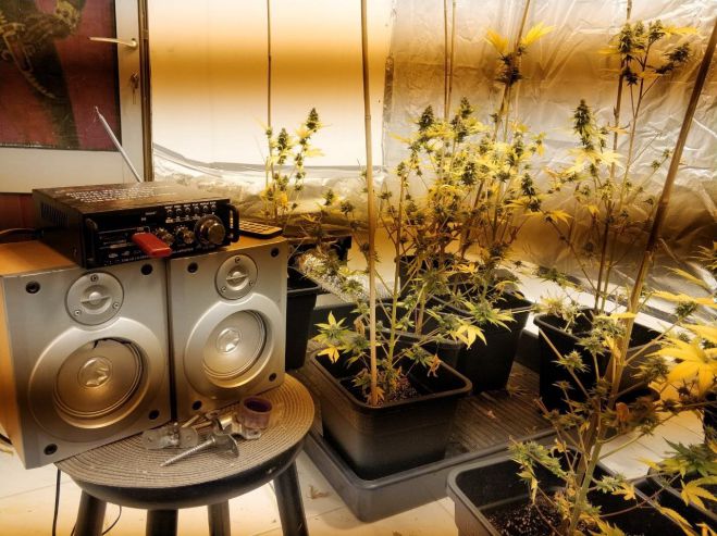 &Pi;ά&tau;&rho;&alpha; | &Kappa;&alpha;&lambda;&lambda;&iota;&epsilon;&rho;&gamma;&omicron;ύ&sigma;&epsilon; &kappa;ά&nu;&nu;&alpha;&beta;&eta; &sigma;&tau;&omicron; &upsilon;&pi;ό&gamma;&epsilon;&iota;&omicron; &tau;&omicron;&upsilon; &sigma;&pi;&iota;&tau;&iota;&omicron;ύ &tau;&omicron;&upsilon;! (&epsilon;&iota;&kappa;ό&nu;&epsilon;&sigmaf;)