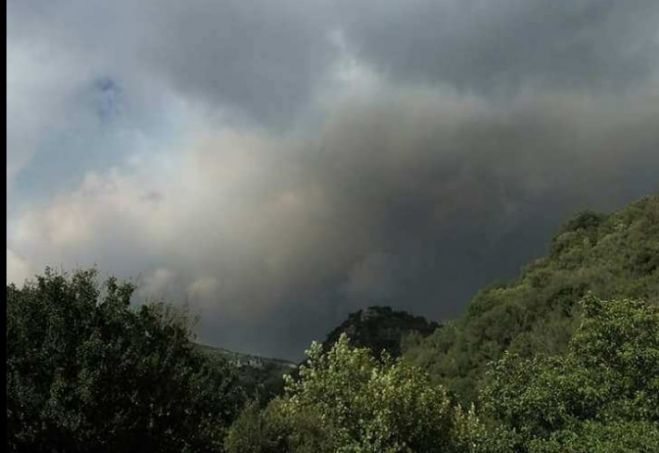 Μεγάλη φωτιά στο Κακαλέτρι Μεσσηνίας – «Πνίγηκε» στον καπνό μέχρι και το χωριό Βάστα Μεγαλόπολης!