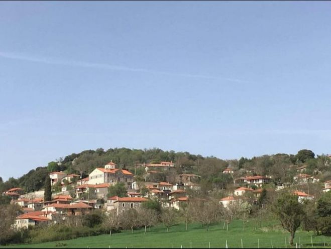 &Mu;ί&alpha; ό&mu;&omicron;&rho;&phi;&eta; &sigma;&upsilon;&nu;ά&nu;&tau;&eta;&sigma;&eta; &omicron;&rho;&gamma;&alpha;&nu;ώ&nu;&epsilon;&tau;&alpha;&iota; &sigma;&tau;&eta;&nu; &Kappa;&epsilon;&rho;&pi;&iota;&nu;ή &Gamma;&omicron;&rho;&tau;&upsilon;&nu;ί&alpha;&sigmaf;