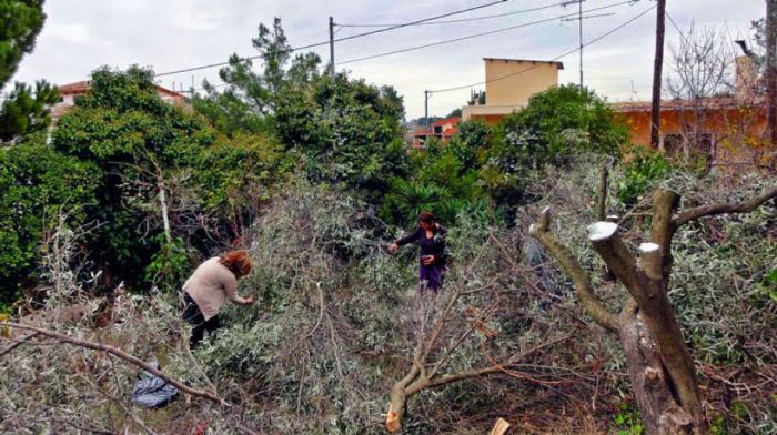 Ξηροπήγαδο: Ψεκασμός για το πρόγραμμα δακοκτονίας