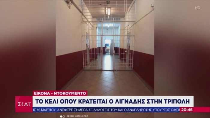 &Nu;&tau;&omicron;&kappa;&omicron;&upsilon;&mu;έ&nu;&tau;&omicron; | &Tau;&omicron; &kappa;&epsilon;&lambda;ί &tau;&omicron;&upsilon; &Delta;&eta;&mu;ή&tau;&rho;&eta; &Lambda;&iota;&gamma;&nu;ά&delta;&eta; &sigma;&tau;&iota;&sigmaf; &phi;&upsilon;&lambda;&alpha;&kappa;έ&sigmaf; &tau;&eta;&sigmaf; &Tau;&rho;ί&pi;&omicron;&lambda;&eta;&sigmaf; (&epsilon;&iota;&kappa;ό&nu;&epsilon;&sigmaf;)