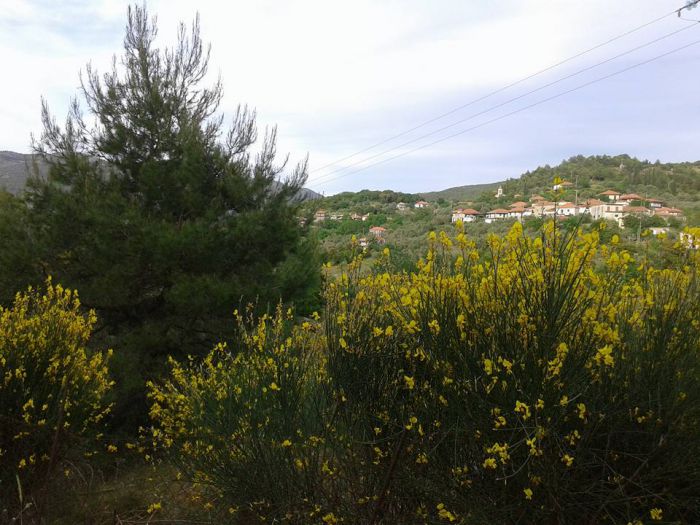 Οι εκδηλώσεις του Αυγούστου στο Σαρακίνι Γορτυνίας