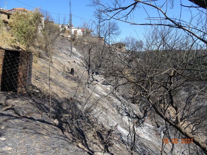 Χώρα Γορτυνίας | Φοβούνται κίνδυνος κατολισθήσεων με τις πρώτες βροχές και ζητούν έργα