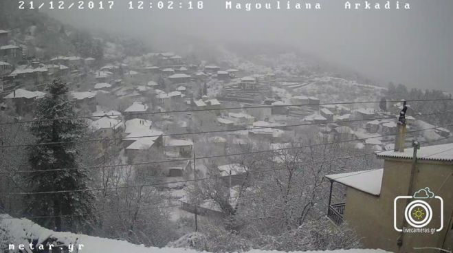 Ό&lambda;&alpha; &lambda;&epsilon;&upsilon;&kappa;ά &sigma;&tau;&alpha; &Mu;&alpha;&gamma;&omicron;ύ&lambda;&iota;&alpha;&nu;&alpha; &Gamma;&omicron;&rho;&tau;&upsilon;&nu;ί&alpha;&sigmaf; - &Delta;&epsilon;ί&tau;&epsilon; live!