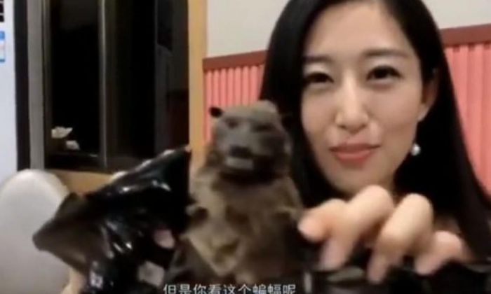 &Sigma;&omicron;&kappa; | &Kappa;&iota;&nu;έ&zeta;&epsilon;&sigmaf; &mu;&alpha;&sigmaf; &delta;&epsilon;ί&chi;&nu;&omicron;&upsilon;&nu; &pi;ώ&sigmaf; &tau;&rho;ώ&nu;&epsilon; &tau;&eta; &nu;&upsilon;&chi;&tau;&epsilon;&rho;ί&delta;&alpha; (vd)