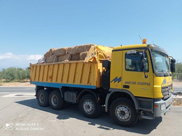 &Zeta;&omega;&omicron;&tau;&rho;&omicron;&phi;έ&sigmaf; &sigma;&tau;&eta;&nu; &pi;&upsilon;&rho;ό&pi;&lambda;&eta;&kappa;&tau;&eta; &Gamma;&omicron;&rho;&tau;&upsilon;&nu;ί&alpha; έ&sigma;&tau;&epsilon;&iota;&lambda;&epsilon; &eta; &Beta;ό&rho;&epsilon;&iota;&alpha; &Kappa;&upsilon;&nu;&omicron;&upsilon;&rho;ί&alpha;