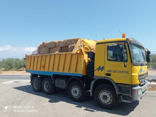 &Zeta;&omega;&omicron;&tau;&rho;&omicron;&phi;έ&sigmaf; &sigma;&tau;&eta;&nu; &pi;&upsilon;&rho;ό&pi;&lambda;&eta;&kappa;&tau;&eta; &Gamma;&omicron;&rho;&tau;&upsilon;&nu;ί&alpha; έ&sigma;&tau;&epsilon;&iota;&lambda;&epsilon; &eta; &Beta;ό&rho;&epsilon;&iota;&alpha; &Kappa;&upsilon;&nu;&omicron;&upsilon;&rho;ί&alpha;