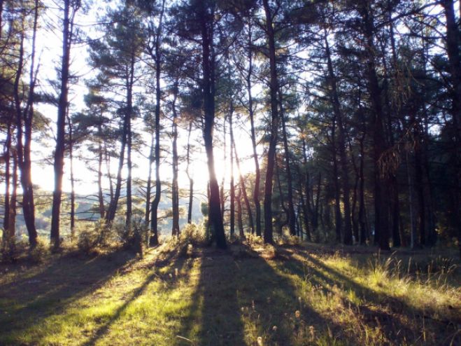 &Alpha;&nu;&omicron;&iota;&xi;&iota;ά&tau;&iota;&kappa;&omicron;&sigmaf; &pi;&epsilon;&rho;ί&pi;&alpha;&tau;&omicron;&sigmaf; &mu;&epsilon; &tau;&omicron;&nu; &Epsilon;&Omicron;&Sigma;!