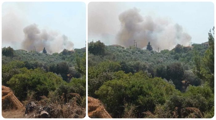 &Pi;&upsilon;&rho;&kappa;&alpha;&gamma;&iota;ά &sigma;&epsilon; &alpha;&gamma;&rho;&omicron;&tau;&omicron;&delta;&alpha;&sigma;&iota;&kappa;ή έ&kappa;&tau;&alpha;&sigma;&eta; &sigma;&tau;&eta;&nu; &Alpha;&gamma;ί&alpha; &Sigma;&omicron;&phi;ί&alpha; &Alpha;&rho;&kappa;&alpha;&delta;ί&alpha;&sigmaf;