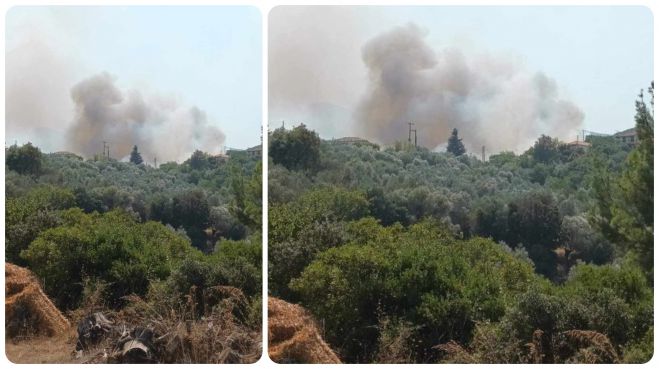 &Pi;&upsilon;&rho;&kappa;&alpha;&gamma;&iota;ά &sigma;&epsilon; &alpha;&gamma;&rho;&omicron;&tau;&omicron;&delta;&alpha;&sigma;&iota;&kappa;ή έ&kappa;&tau;&alpha;&sigma;&eta; &sigma;&tau;&eta;&nu; &Alpha;&gamma;ί&alpha; &Sigma;&omicron;&phi;ί&alpha; &Alpha;&rho;&kappa;&alpha;&delta;ί&alpha;&sigmaf;