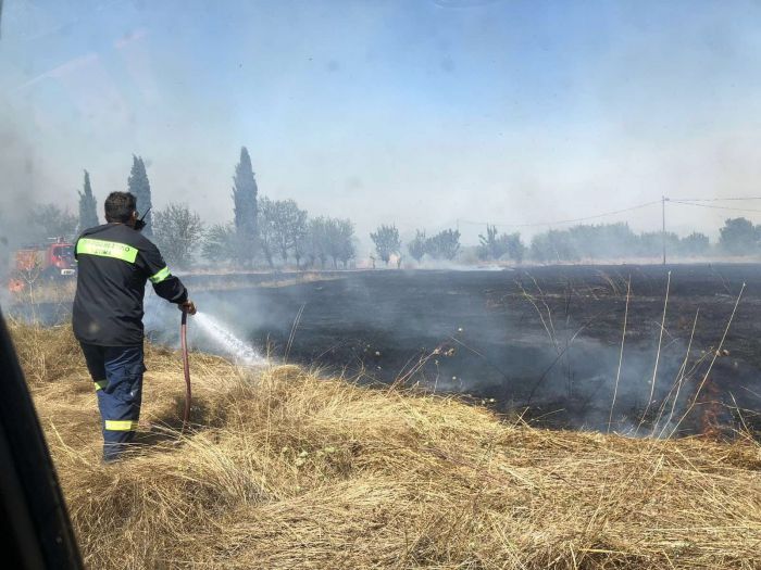 Οριοθετήθηκε η φωτιά στην Επισκοπή Τεγέας