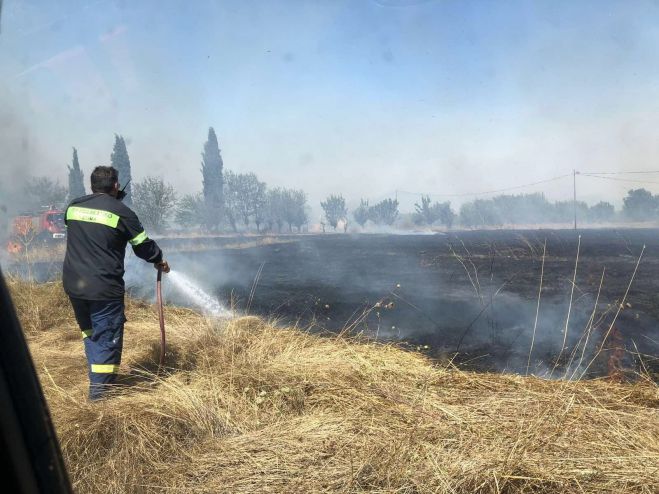 &Omicron;&rho;&iota;&omicron;&theta;&epsilon;&tau;ή&theta;&eta;&kappa;&epsilon; &eta; &phi;&omega;&tau;&iota;ά &sigma;&tau;&eta;&nu; &Epsilon;&pi;&iota;&sigma;&kappa;&omicron;&pi;ή &Tau;&epsilon;&gamma;έ&alpha;&sigmaf;
