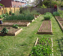 &Chi;&omega;&rho;ί&sigmaf; &kappa;&alpha;&mu;ί&alpha; &omicron;&iota;&kappa;&omicron;&nu;&omicron;&mu;&iota;&kappa;ή &epsilon;&pi;&iota;&beta;ά&rho;&upsilon;&nu;&sigma;&eta; &theta;&alpha;
&sigma;&upsilon;&mu;&mu;&epsilon;&tau;ά&sigma;&chi;&omicron;&upsilon;&nu; &omicron;&iota; &tau;&rho;ί&tau;&epsilon;&kappa;&nu;&omicron;&iota; &sigma;&tau;&omicron; &delta;&eta;&mu;&omicron;&tau;&iota;&kappa;ό &lambda;&alpha;&chi;&alpha;&nu;ό&kappa;&eta;&pi;&omicron; &tau;&eta;&sigmaf; &Tau;&rho;ί&pi;&omicron;&lambda;&eta;&sigmaf;