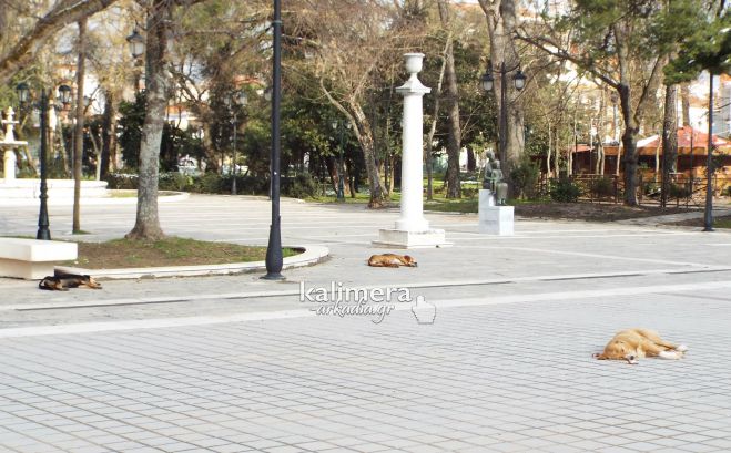 &Alpha;&delta;έ&sigma;&pi;&omicron;&tau;&alpha; &sigma;&kappa;&upsilon;&lambda;&iota;ά&hellip;&gamma;&iota;&alpha; &mu;&iota;&alpha; &theta;έ&sigma;&eta; &sigma;&tau;&omicron;&nu; ή&lambda;&iota;&omicron;! (&epsilon;&iota;&kappa;ό&nu;&epsilon;&sigmaf;)