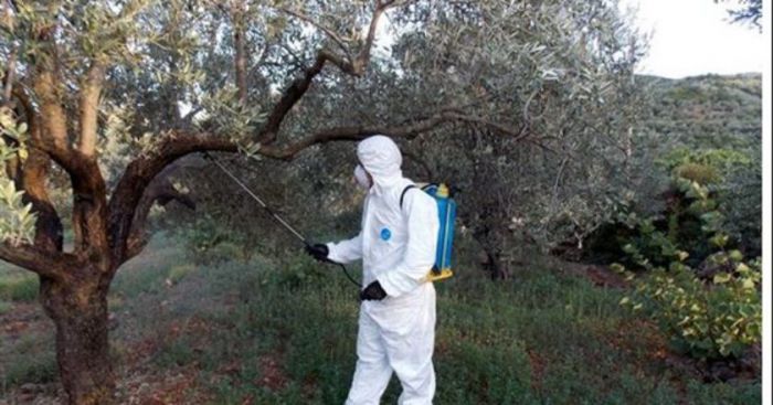 &Pi;&epsilon;&rho;&iota;&phi;&epsilon;&rho;&epsilon;&iota;&alpha;&kappa;ό &Sigma;&upsilon;&mu;&beta;&omicron;ύ&lambda;&iota;&omicron; &Pi;&epsilon;&lambda;&omicron;&pi;&omicron;&nu;&nu;ή&sigma;&omicron;&upsilon; | &Zeta;&eta;&tau;ά &alpha;&pi;ό &tau;&eta;&nu; &Kappa;&upsilon;&beta;έ&rho;&nu;&eta;&sigma;&eta; &epsilon;&pi;&iota;&pi;&lambda;έ&omicron;&nu; &chi;&rho;&eta;&mu;&alpha;&tau;&omicron;&delta;ό&tau;&eta;&sigma;&eta; &gamma;&iota;&alpha; &tau;&eta; &delta;&alpha;&kappa;&omicron;&kappa;&tau;&omicron;&nu;ί&alpha;