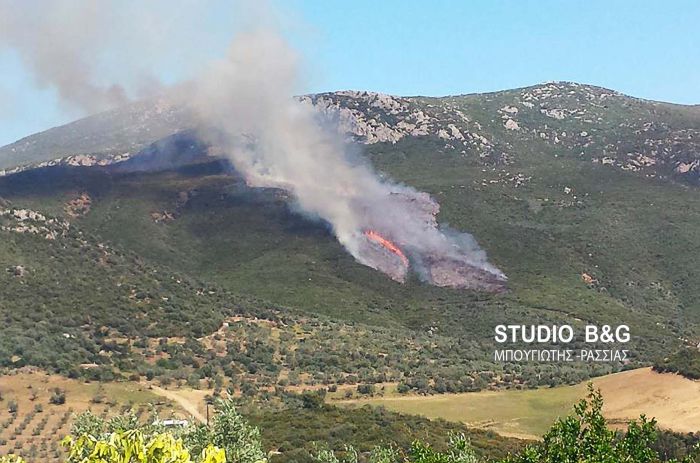 Μεγάλη φωτιά στα σύνορα Αργολίδας και Κορινθίας (εικόνες)