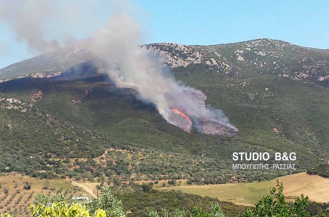 Μεγάλη φωτιά στα σύνορα Αργολίδας και Κορινθίας (εικόνες)