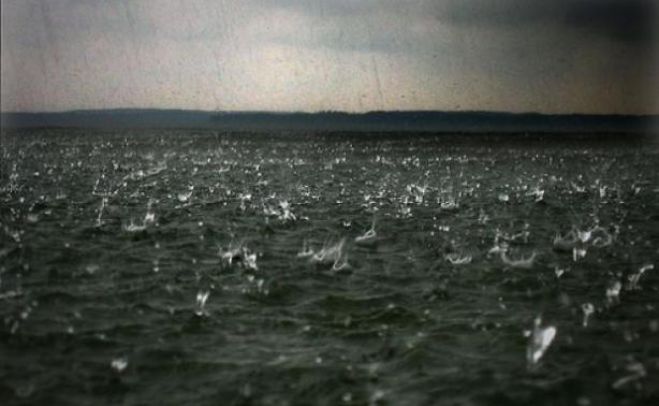 &laquo;&Mu;&omicron;ύ&sigma;&kappa;&epsilon;&mu;&alpha;&raquo; &theta;&alpha; &tau;&alpha; &kappa;ά&nu;&epsilon;&iota; &omicron; &kappa;&alpha;&iota;&rho;ό&sigmaf; &tau;&omicron; &Sigma;ά&beta;&beta;&alpha;&tau;&omicron; &sigma;&epsilon; &pi;&omicron;&lambda;&lambda;έ&sigmaf; &pi;&epsilon;&rho;&iota;&omicron;&chi;έ&sigmaf; ..