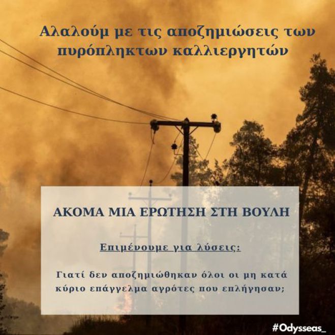 Κωνσταντινόπουλος: "Αλαλούμ με τις αποζημιώσεις των πυρόπληκτων καλλιεργητών"