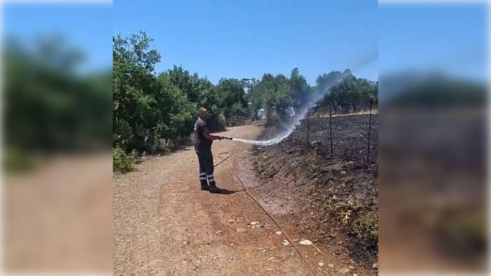 &Upsilon;&pi;ό έ&lambda;&epsilon;&gamma;&chi;&omicron; &eta; &phi;&omega;&tau;&iota;ά &sigma;&tau;&eta;&nu; &Tau;&rho;&iota;&pi;&omicron;&tau;&alpha;&mu;&iota;ά &Gamma;&omicron;&rho;&tau;&upsilon;&nu;ί&alpha;&sigmaf; - Ά&mu;&epsilon;&sigma;&eta; &epsilon;&pi;έ&mu;&beta;&alpha;&sigma;&eta; &alpha;&pi;ό &pi;&upsilon;&rho;&omicron;&sigma;&beta;&epsilon;&sigma;&tau;&iota;&kappa;ή &kappa;&alpha;&iota; &delta;ή&mu;&omicron; (vd)