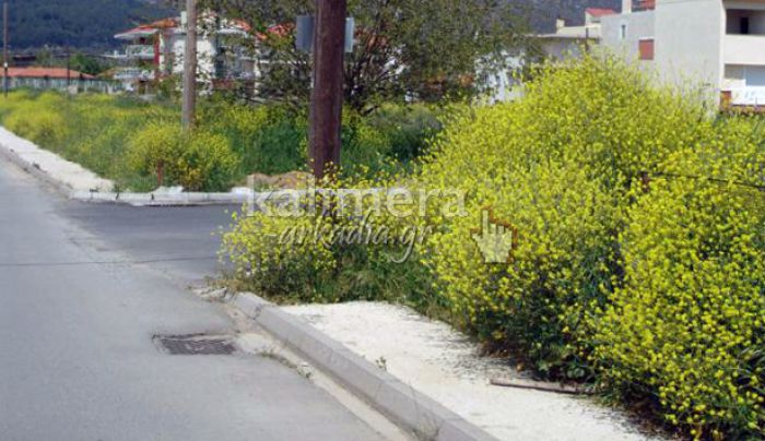 Σμυρνιώτης: «Κόψτε τα χορτάρια. Δεν θα βλέπουμε να περάσουμε από την Καλαβρύτων»!