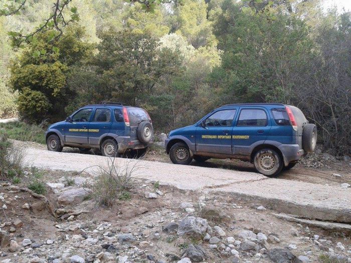 Θηροφυλακή  | Έρευνες μέσα στη νύχτα για παράνομο κυνήγι στη Γορτυνία