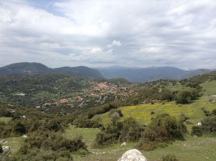 &Nu;έ&alpha; &Delta;&iota;&omicron;ί&kappa;&eta;&sigma;&eta; &sigma;&tau;&omicron;&nu; &Pi;&omicron;&lambda;&iota;&tau;&iota;&sigma;&tau;&iota;&kappa;ό &Sigma;ύ&lambda;&lambda;&omicron;&gamma;&omicron; &Pi;&epsilon;&rho;&delta;&iota;&kappa;&omicron;&nu;&epsilon;&rho;ί&omicron;&upsilon; (&omicron;&nu;ό&mu;&alpha;&tau;&alpha;)