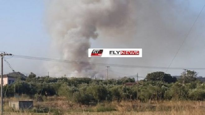 Πυρκαγιά στον Άγιο Βασίλειο Γυθείου (vd)