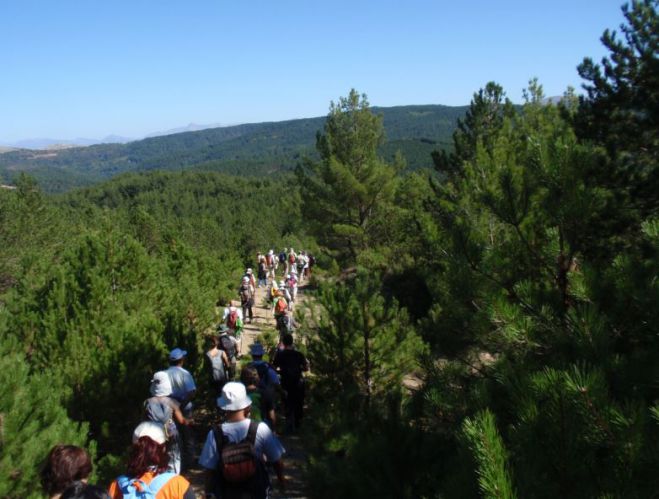 &Omicron; &Sigma;&Alpha;&Omicron;&Omicron; &sigma;&tau;&omicron; &delta;ά&sigma;&omicron;&sigmaf; &tau;&eta;&sigmaf; &Sigma;&kappa;&iota;&rho;ί&tau;&iota;&delta;&alpha;&sigmaf;