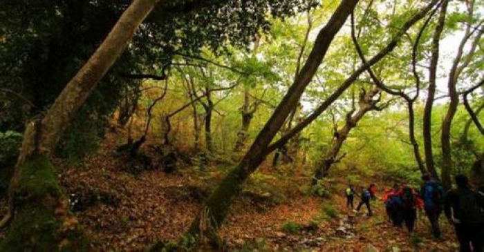 Πρωτομαγιάτικη εξόρμηση από τον ΣΑΟΟ