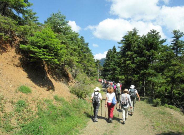&Sigma;&Alpha;&Omicron;&Omicron; | &Pi;&epsilon;&rho;&pi;ά&tau;&eta;&mu;&alpha; &omega;&sigmaf; &tau;&omicron; &gamma;&rho;&alpha;&phi;&iota;&kappa;ό &epsilon;&xi;&omega;&kappa;&lambda;ή&sigma;&iota; &tau;&eta;&sigmaf; &Alpha;&nu;ά&lambda;&eta;&psi;&eta;&sigmaf;