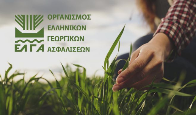 &Zeta;&eta;&mu;&iota;έ&sigmaf; &pi;&rho;&omicron;&kappa;ά&lambda;&epsilon;&sigma;&epsilon; &eta; &beta;&rho;&omicron;&chi;ό&pi;&tau;&omega;&sigma;&eta; &sigma;&epsilon; &kappa;&alpha;&lambda;&lambda;&iota;έ&rho;&gamma;&epsilon;&iota;&epsilon;&sigmaf; &sigma;&tau;&omicron; &chi;&omega;&rho;&iota;ό &Sigma;&tau;&rho;ί&gamma;&kappa;&omicron;&upsilon; &Tau;&epsilon;&gamma;έ&alpha;&sigmaf;