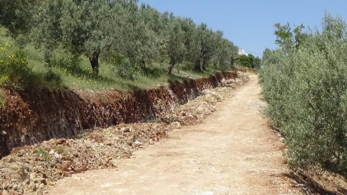 &Gamma;&iota;&alpha;&tau;ί &epsilon;&pi;&iota;&kappa;&rho;&alpha;&tau;&epsilon;ί &sigma;&iota;&omega;&pi;ή &gamma;&iota;&alpha; &tau;&eta;&nu; &alpha;&pi;&omicron;&pi;&epsilon;&rho;ά&tau;&omega;&sigma;&eta; &tau;&omicron;&upsilon; &delta;&rho;ό&mu;&omicron;&upsilon; &Sigma;&tau;ό&lambda;&omicron;&upsilon;-&Alpha;&gamma;&iota;ά&nu;&nu;&eta; &Kappa;&upsilon;&nu;&omicron;&upsilon;&rho;ί&alpha;&sigmaf;;