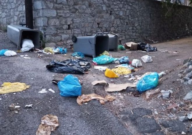 &Beta;&lambda;&alpha;&chi;έ&rho;&nu;&alpha; | &Kappa;ά&delta;&omicron;&iota; &alpha;&pi;&omicron;&rho;&rho;&iota;&mu;&mu;ά&tau;&omega;&nu;, &sigma;&kappa;&omicron;&upsilon;&pi;ί&delta;&iota;&alpha; &kappa;&alpha;&iota; &alpha;&delta;έ&sigma;&pi;&omicron;&tau;&alpha;