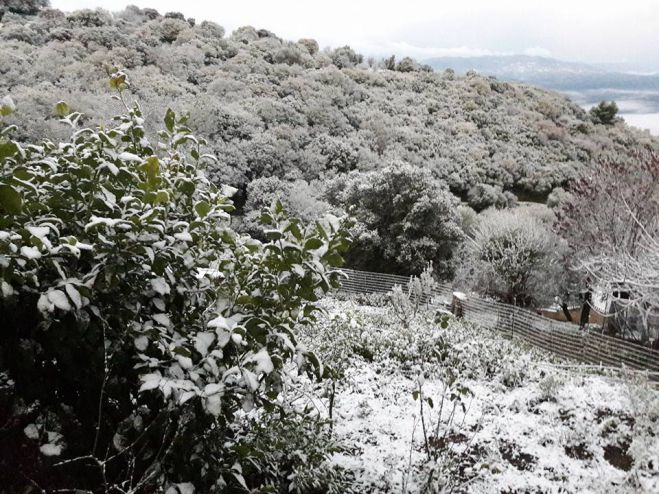 &Chi;&iota;ό&nu;&iota;&alpha; &kappa;&alpha;&iota; &sigma;&tau;&eta;&nu; &Rho;&iota;&zeta;&omicron;&sigma;&pi;&eta;&lambda;&iota;ά &Gamma;&omicron;&rho;&tau;&upsilon;&nu;ί&alpha;&sigmaf;! (&epsilon;&iota;&kappa;ό&nu;&epsilon;&sigmaf;)