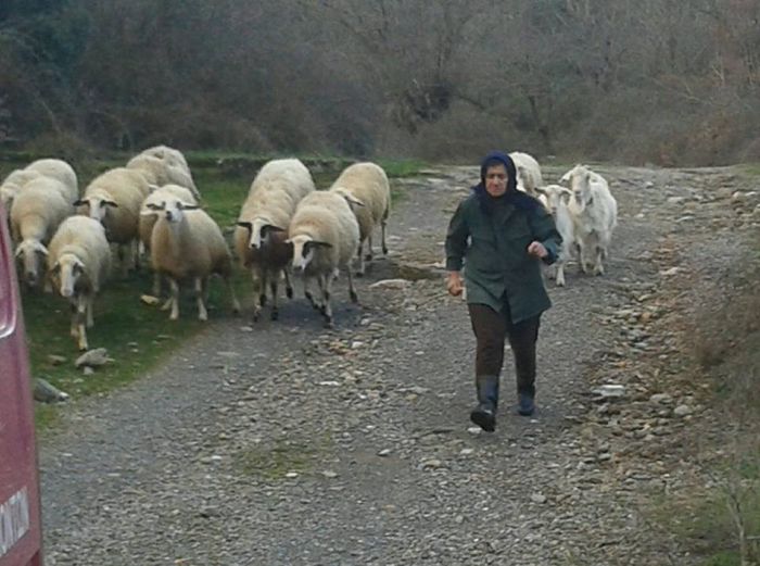 &Eta; &sigma;&upsilon;&gamma;&kappa;&iota;&nu;&eta;&tau;&iota;&kappa;ή &alpha;&nu;ά&rho;&tau;&eta;&sigma;&eta; &tau;&omicron;&upsilon; &Sigma;&omega;&tau;ή&rho;&eta; &Pi;&alpha;&pi;&alpha;&delta;&eta;&mu;&eta;&tau;&rho;ί&omicron;&upsilon; &gamma;&iota;&alpha; &tau;&eta; &mu;&eta;&tau;έ&rho;&alpha; &tau;&omicron;&upsilon; ...