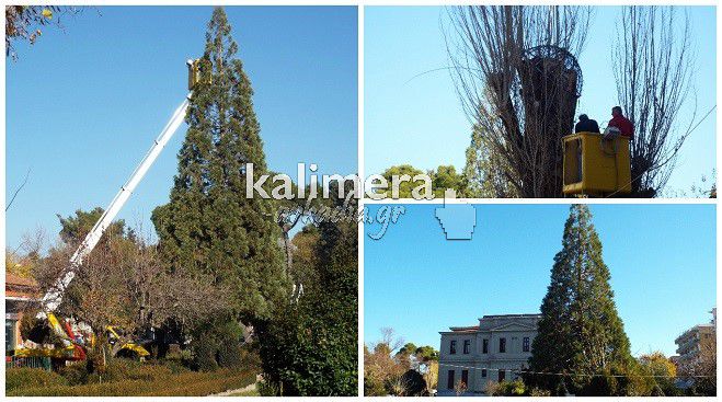 &Delta;&epsilon;&nu; &sigma;&tau;&alpha;&mu;ά&tau;&alpha; &omicron; &sigma;&tau;&omicron;&lambda;&iota;&sigma;&mu;ό&sigmaf; &sigma;&tau;&eta;&nu; &pi;ό&lambda;&eta; &ndash; &Pi;&rho;&omicron;&sigma;&gamma;&epsilon;&iota;ώ&nu;&omicron;&nu;&tau;&alpha;&iota; &omicron;&mu;&pi;&rho;έ&lambda;&epsilon;&sigmaf; &sigma;&tau;&alpha; &delta;έ&nu;&tau;&rho;&alpha;! (&epsilon;&iota;&kappa;ό&nu;&epsilon;&sigmaf;)