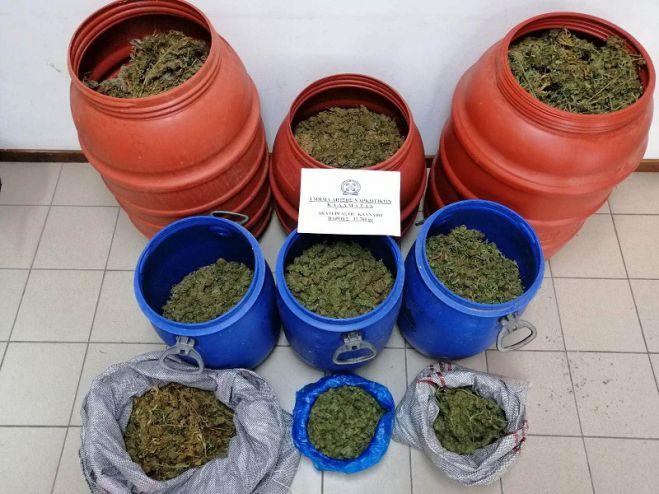 &Pi;ά&nu;&omega; &alpha;&pi;ό 37 &kappa;&iota;&lambda;ά &kappa;ά&nu;&nu;&alpha;&beta;&eta;&sigmaf; &kappa;&alpha;&tau;&alpha;&sigma;&chi;έ&theta;&eta;&kappa;&alpha;&nu; &sigma;&tau;&eta; &Mu;&epsilon;&sigma;&sigma;&eta;&nu;ί&alpha;! (&epsilon;&iota;&kappa;ό&nu;&epsilon;&sigmaf;)