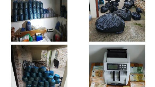&Alpha;&pi;ί&sigma;&tau;&epsilon;&upsilon;&tau;&omicron; | &Alpha;&upsilon;&tau;ό &epsilon;ί&nu;&alpha;&iota; &tau;&omicron; &tau;&epsilon;&rho;ά&sigma;&tau;&iota;&omicron; &pi;&omicron;&sigma;ό &pi;&omicron;&upsilon; &theta;&alpha; &kappa;έ&rho;&delta;&iota;&zeta;&epsilon; (&alpha;&pi;ό &pi;ώ&lambda;&eta;&sigma;&eta; &kappa;ά&nu;&nu;&alpha;&beta;&eta;&sigmaf;) &eta; &epsilon;&gamma;&kappa;&lambda;&eta;&mu;&alpha;&tau;&iota;&kappa;ή &omicron;&rho;&gamma;ά&nu;&omega;&sigma;&eta; &pi;&omicron;&upsilon; &xi;&epsilon;&sigma;&kappa;έ&pi;&alpha;&sigma;&epsilon; &eta; &Alpha;&sigma;&phi;ά&lambda;&epsilon;&iota;&alpha; &Tau;&rho;ί&pi;&omicron;&lambda;&eta;&sigmaf;!