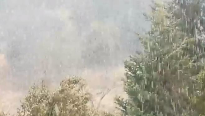 Έ&nu;&tau;&omicron;&nu;&eta; &chi;&iota;&omicron;&nu;ό&pi;&tau;&omega;&sigma;&eta; &kappa;&alpha;&iota; &sigma;&tau;&eta;&nu; &Alpha;&lambda;&omega;&nu;ί&sigma;&tau;&alpha;&iota;&nu;&alpha;! (vd)