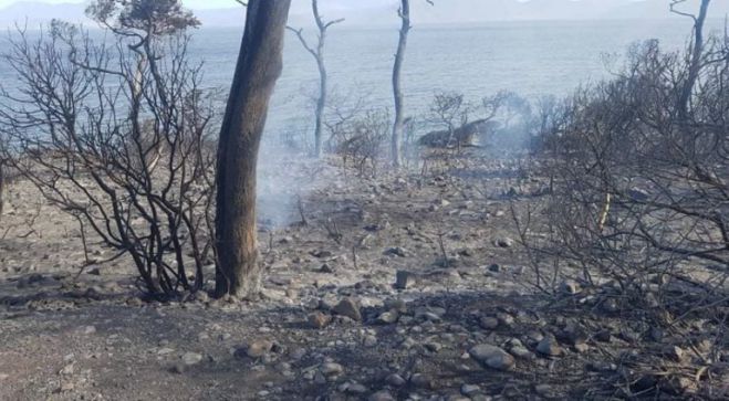 Νέα αναφορά στη Βουλή για αποζημιώσεις σε όλους τους πυρόπληκτους παραγωγούς της Γορτυνίας