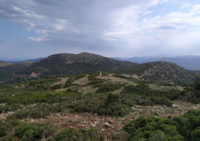 Στο «μονοπάτι του Πελασγού» οι ορειβάτες του ΕΟΣ Τρίπολης