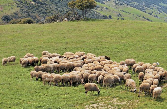 Ά&lambda;&lambda;&alpha;&xi;&alpha;&nu; &omicron;&iota; &eta;&mu;&epsilon;&rho;&omicron;&mu;&eta;&nu;ί&epsilon;&sigmaf; &gamma;&iota;&alpha; &tau;&iota;&sigmaf; &alpha;&iota;&tau;ή&sigma;&epsilon;&iota;&sigmaf; &sigma;&tau;&eta; &pi;&rho;ό&sigma;&kappa;&lambda;&eta;&sigma;&eta; &tau;&eta;&sigmaf; &beta;&iota;&omicron;&lambda;&omicron;&gamma;&iota;&kappa;ή&sigmaf; &kappa;&tau;&eta;&nu;&omicron;&tau;&rho;&omicron;&phi;ί&alpha;&sigmaf;